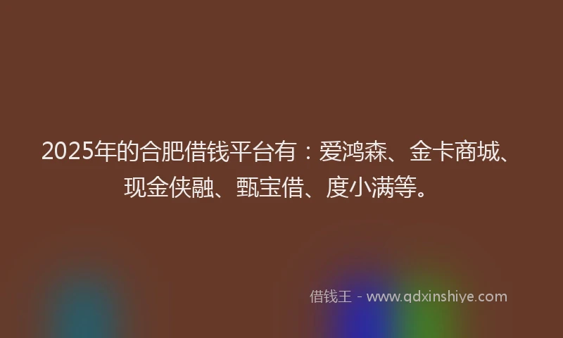 2025年的合肥借钱平台有：爱鸿森、金卡商城、现金侠融、甄宝借、度小满等。