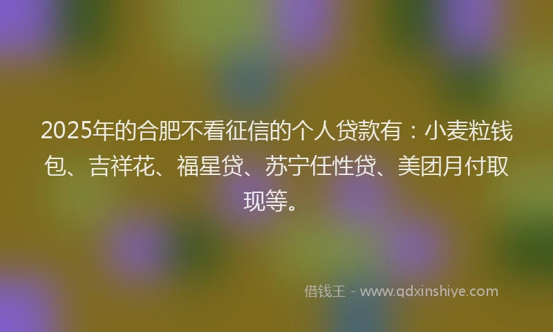 2025年的合肥不看征信的个人贷款有：小麦粒钱包、吉祥花、福星贷、苏宁任性贷、美团月付取现等。