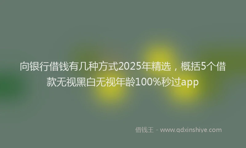 向银行借钱有几种方式2025年精选，概括5个借款无视黑白无视年龄100%秒过app