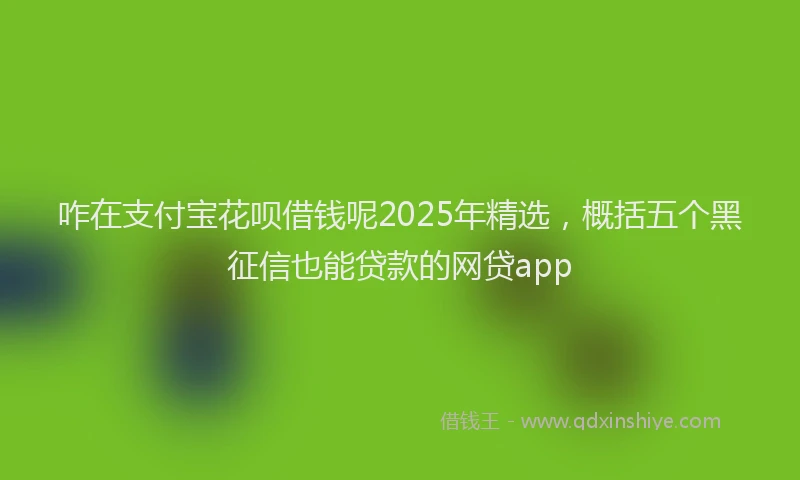 咋在支付宝花呗借钱呢2025年精选,概括五个黑征信也能贷款的网贷app