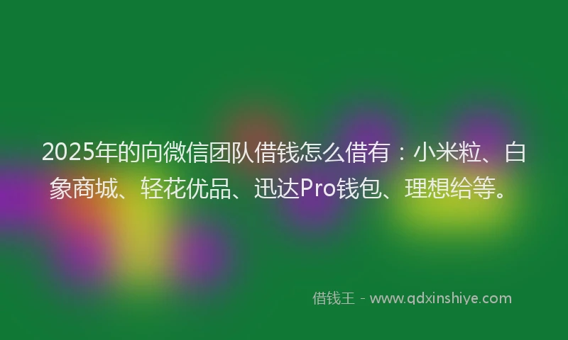 2025年的向微信团队借钱怎么借有：小米粒、白象商城、轻花优品、迅达Pro钱包、理想给等。