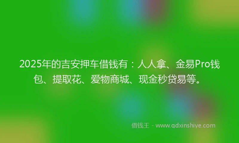 2025年的吉安押车借钱有：人人拿、金易Pro钱包、提取花、爱物商城、现金秒贷易等。