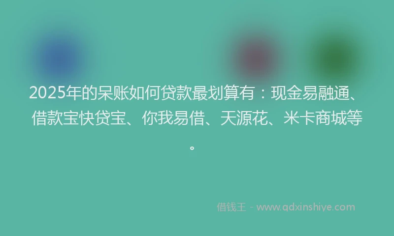 2025年的呆账如何贷款最划算有：现金易融通、借款宝快贷宝、你我易借、天源花、米卡商城等。