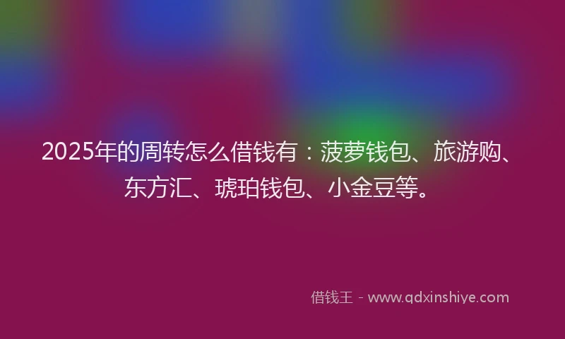 2025年的周转怎么借钱有：菠萝钱包、旅游购、东方汇、琥珀钱包、小金豆等。