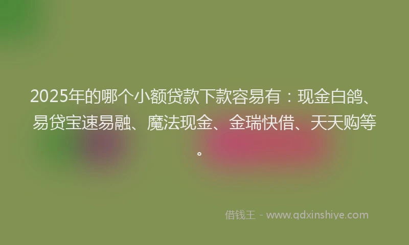 2025年的哪个小额贷款下款容易有:现金白鸽、易贷宝速易融、魔法现金、金瑞快借、天天购等。