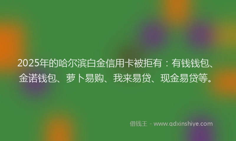 2025年的哈尔滨白金信用卡被拒有:有钱钱包、金诺钱包、萝卜易购、我来易贷、现金易贷等。