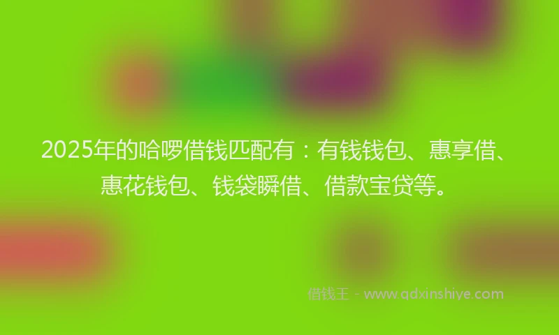 2025年的哈啰借钱匹配有：有钱钱包、惠享借、惠花钱包、钱袋瞬借、借款宝贷等。