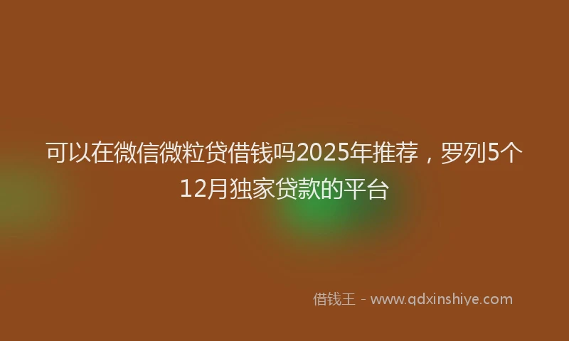 可以在微信微粒贷借钱吗2025年推荐，罗列5个12月独家贷款的平台