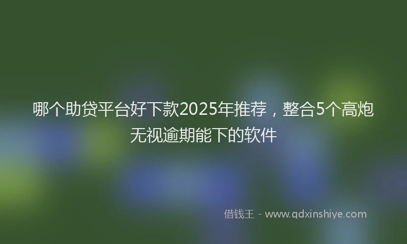 哪个助贷平台好下款2025年推荐，整合5个高炮无视逾期能下的软件