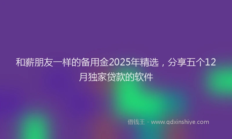 和薪朋友一样的备用金2025年精选，分享五个12月独家贷款的软件
