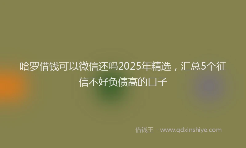 哈罗借钱可以微信还吗2025年精选，汇总5个征信不好负债高的口子