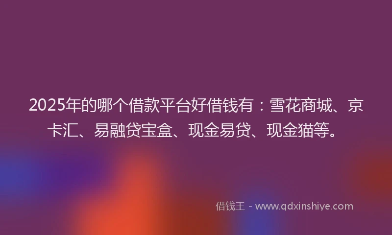 2025年的哪个借款平台好借钱有：雪花商城、京卡汇、易融贷宝盒、现金易贷、现金猫等。