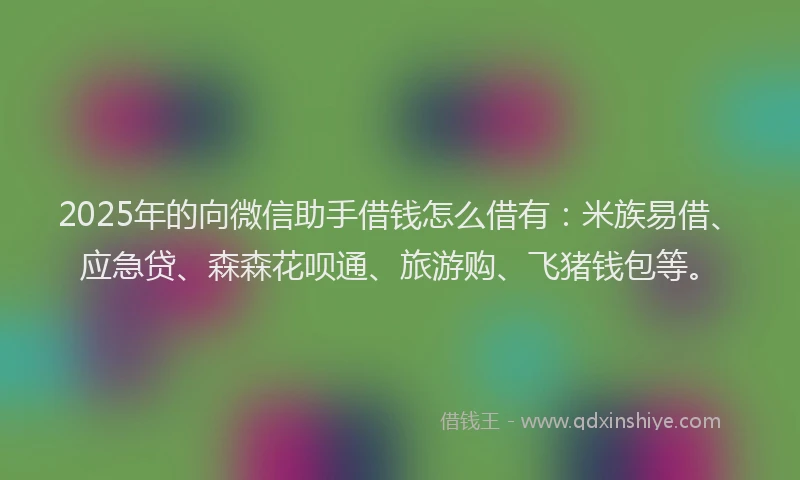 2025年的向微信助手借钱怎么借有：米族易借、应急贷、森森花呗通、旅游购、飞猪钱包等。