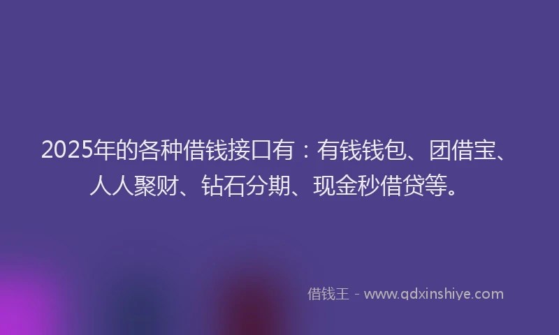 2025年的各种借钱接口有：有钱钱包、团借宝、人人聚财、钻石分期、现金秒借贷等。