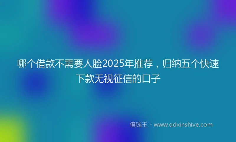 哪个借款不需要人脸2025年推荐，归纳五个快速下款无视征信的口子