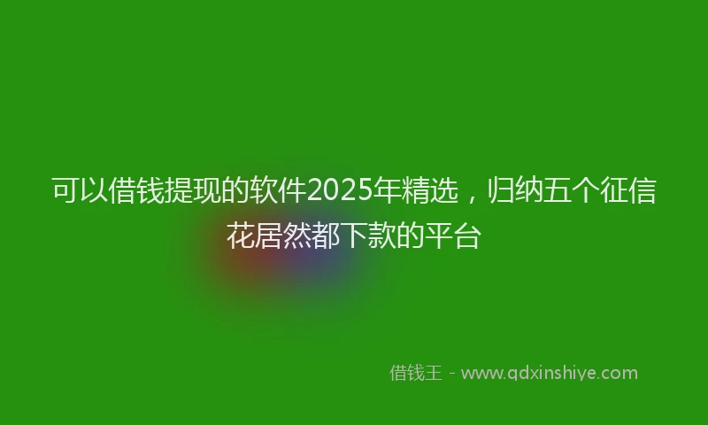可以借钱提现的软件2025年精选，归纳五个征信花居然都下款的平台