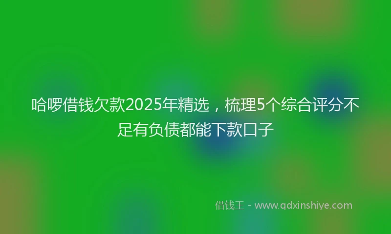 哈啰借钱欠款2025年精选，梳理5个综合评分不足有负债都能下款口子