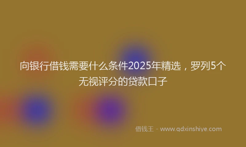 向银行借钱需要什么条件2025年精选，罗列5个无视评分的贷款口子