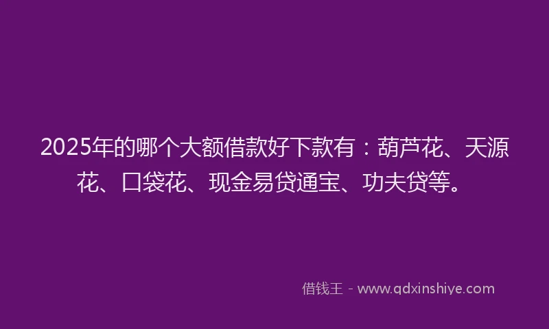 2025年的哪个大额借款好下款有：葫芦花、天源花、口袋花、现金易贷通宝、功夫贷等。