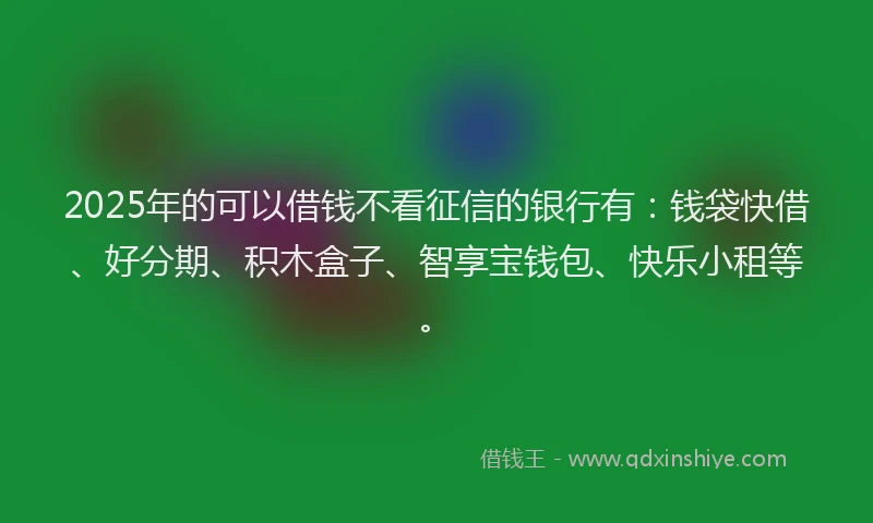 2025年的可以借钱不看征信的银行有：钱袋快借、好分期、积木盒子、智享宝钱包、快乐小租等。