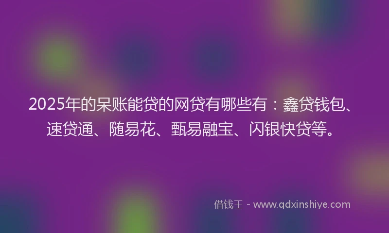2025年的呆账能贷的网贷有哪些有：鑫贷钱包、速贷通、随易花、甄易融宝、闪银快贷等。