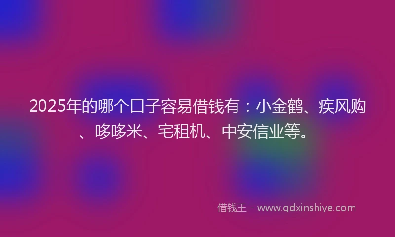 2025年的哪个口子容易借钱有：小金鹤、疾风购、哆哆米、宅租机、中安信业等。