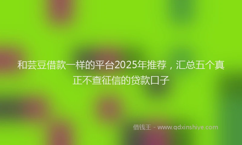 和芸豆借款一样的平台2025年推荐，汇总五个真正不查征信的贷款口子