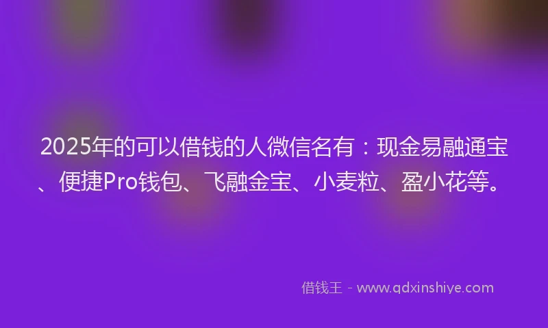 2025年的可以借钱的人微信名有：现金易融通宝、便捷Pro钱包、飞融金宝、小麦粒、盈小花等。