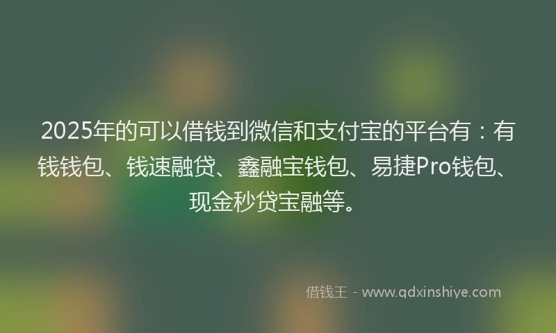 2025年的可以借钱到微信和支付宝的平台有：有钱钱包、钱速融贷、鑫融宝钱包、易捷Pro钱包、现金秒贷宝融等。