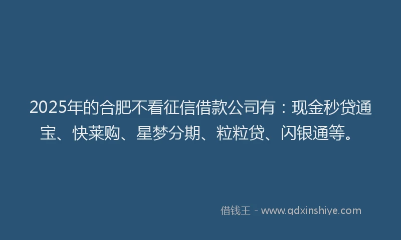 2025年的合肥不看征信借款公司有：现金秒贷通宝、快莱购、星梦分期、粒粒贷、闪银通等。