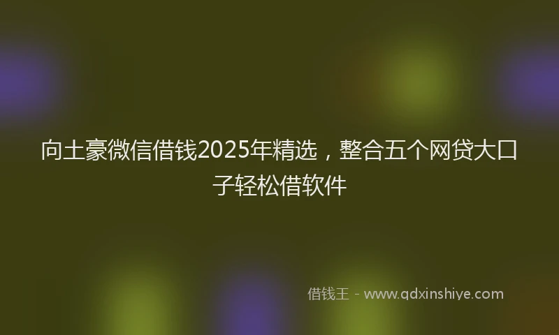向土豪微信借钱2025年精选，整合五个网贷大口子轻松借软件