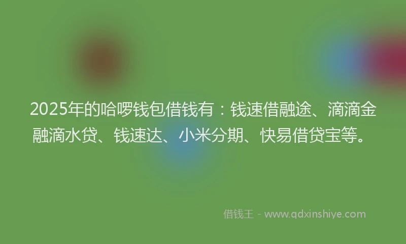 2025年的哈啰钱包借钱有：钱速借融途、滴滴金融滴水贷、钱速达、小米分期、快易借贷宝等。