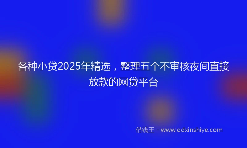 各种小贷2025年精选，整理五个不审核夜间直接放款的网贷平台