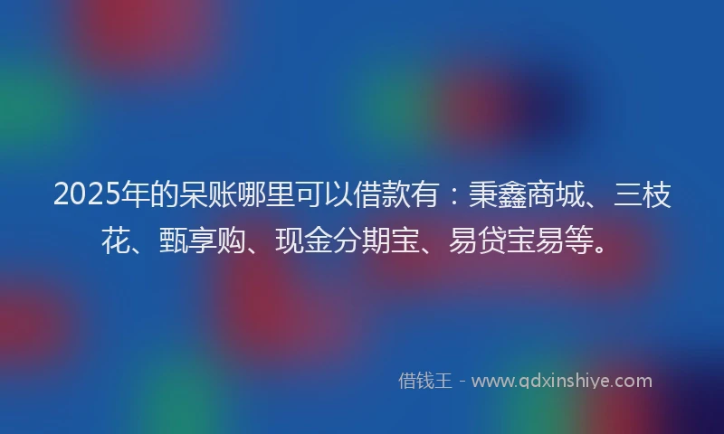 2025年的呆账哪里可以借款有：秉鑫商城、三枝花、甄享购、现金分期宝、易贷宝易等。