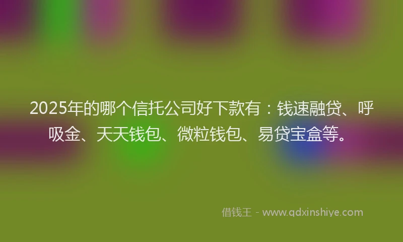 2025年的哪个信托公司好下款有：钱速融贷、呼吸金、天天钱包、微粒钱包、易贷宝盒等。