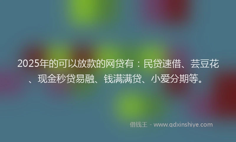 2025年的可以放款的网贷有：民贷速借、芸豆花、现金秒贷易融、钱满满贷、小爱分期等。
