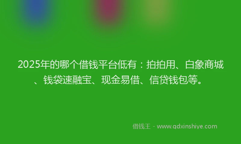 2025年的哪个借钱平台低有：拍拍用、白象商城、钱袋速融宝、现金易借、信贷钱包等。