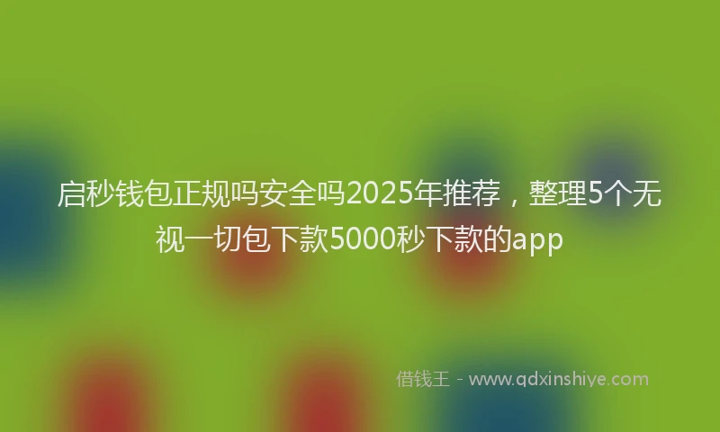 启秒钱包正规吗安全吗2025年推荐，整理5个无视一切包下款5000秒下款的app