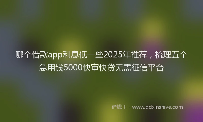 哪个借款app利息低一些2025年推荐，梳理五个急用钱5000快审快贷无需征信平台