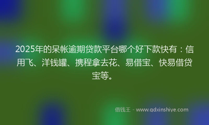 2025年的呆帐逾期贷款平台哪个好下款快有：信用飞、洋钱罐、携程拿去花、易借宝、快易借贷宝等。