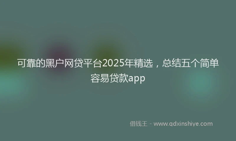 可靠的黑户网贷平台2025年精选，总结五个简单容易贷款app