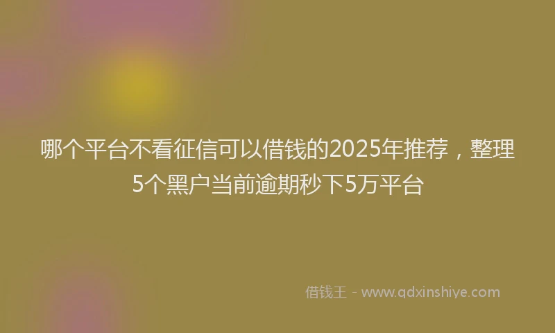 哪个平台不看征信可以借钱的2025年推荐，整理5个黑户当前逾期秒下5万平台