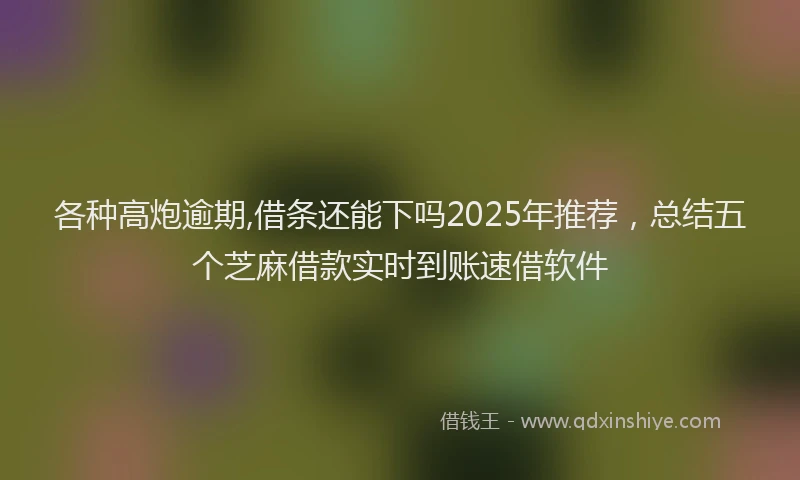 各种高炮逾期,借条还能下吗2025年推荐，总结五个芝麻借款实时到账速借软件
