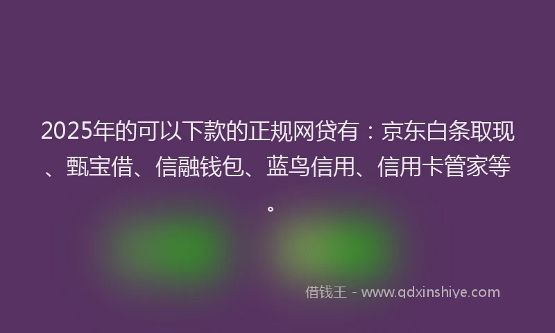 2025年的可以下款的正规网贷有：京东白条取现、甄宝借、信融钱包、蓝鸟信用、信用卡管家等。