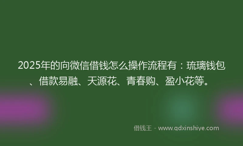 2025年的向微信借钱怎么操作流程有：琉璃钱包、借款易融、天源花、青春购、盈小花等。