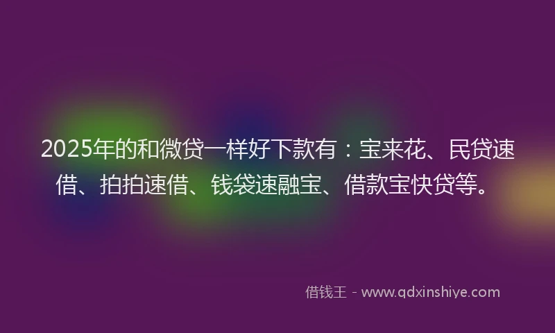 2025年的和微贷一样好下款有：宝来花、民贷速借、拍拍速借、钱袋速融宝、借款宝快贷等。