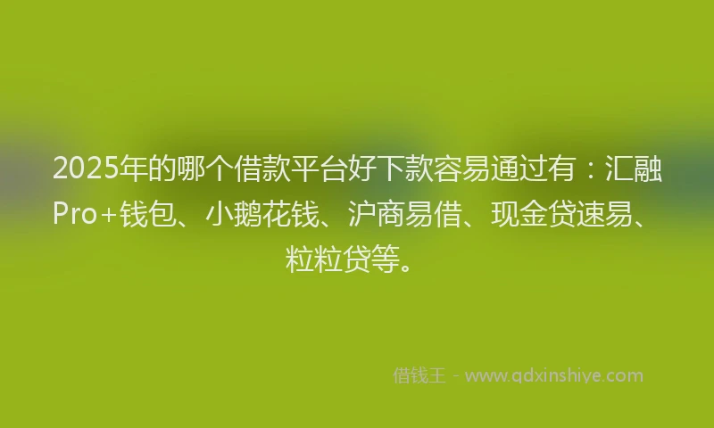 2025年的哪个借款平台好下款容易通过有：汇融Pro+钱包、小鹅花钱、沪商易借、现金贷速易、粒粒贷等。