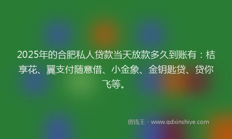 2025年的合肥私人贷款当天放款多久到账有：桔享花、翼支付随意借、小金象、金钥匙贷、贷你飞等。