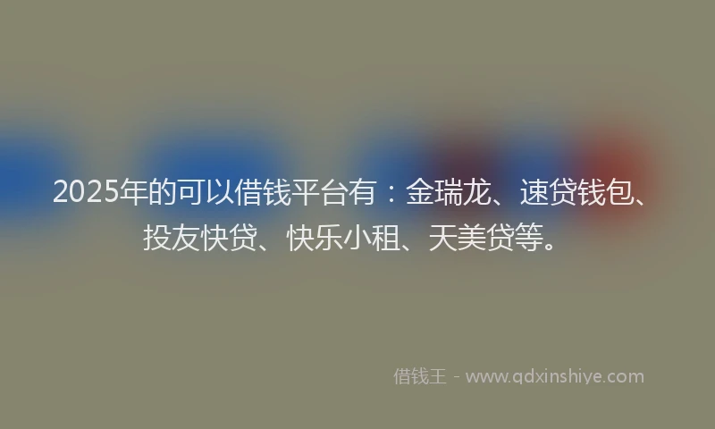2025年的可以借钱平台有：金瑞龙、速贷钱包、投友快贷、快乐小租、天美贷等。