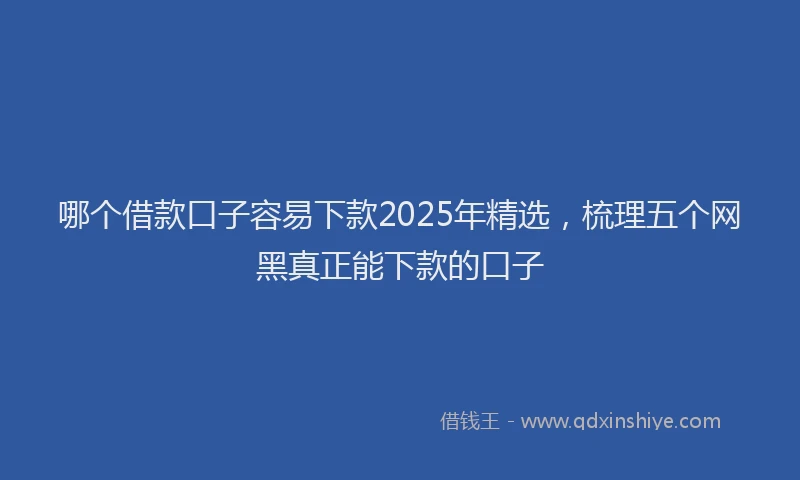 哪个借款口子容易下款2025年精选，梳理五个网黑真正能下款的口子